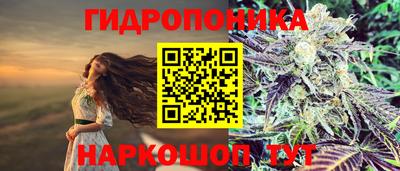 индика Коммунар