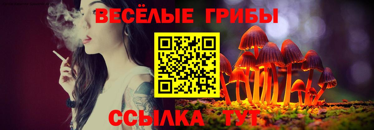 Псилоцибиновые грибы Magic Shrooms Комсомольск-на-Амуре