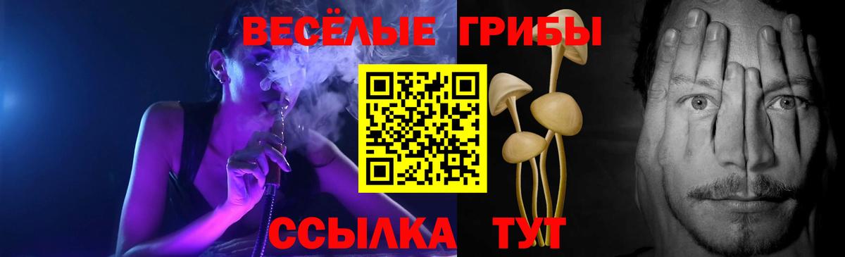 Галлюциногенные грибы Cubensis  Вход с VPN  Галлюциногенные грибы GOLDEN TEACHER  где купить   Комсомольск-на-Амуре 